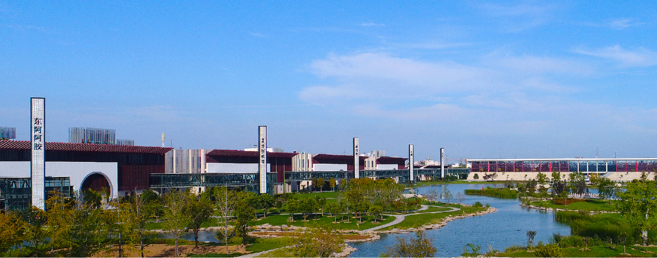 AG·体育电竞-阿胶世界