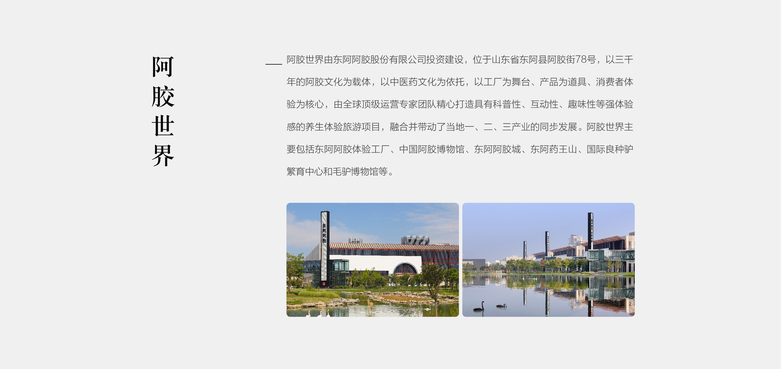 AG·体育电竞-阿胶世界